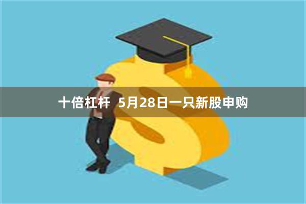 十倍杠杆  5月28日一只新股申购