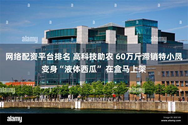 网络配资平台排名 高科技助农 60万斤滞销特小凤变身“液体西瓜” 在盒马上架