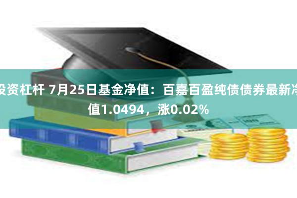 投资杠杆 7月25日基金净值：百嘉百盈纯债债券最新净值1.0494，涨0.02%