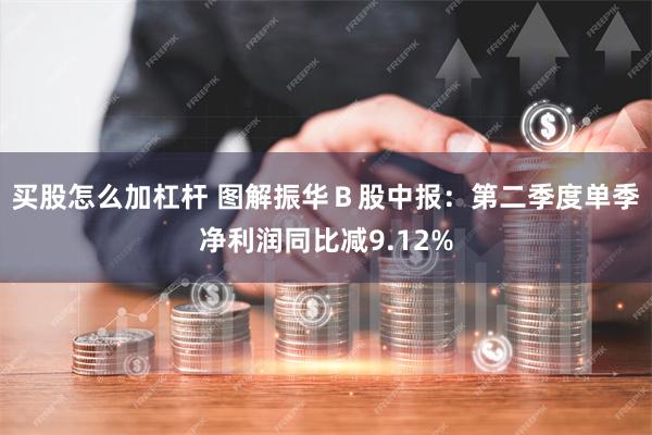 买股怎么加杠杆 图解振华Ｂ股中报：第二季度单季净利润同比减9.12%