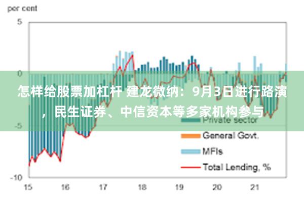 怎样给股票加杠杆 建龙微纳：9月3日进行路演，民生证券、中信资本等多家机构参与