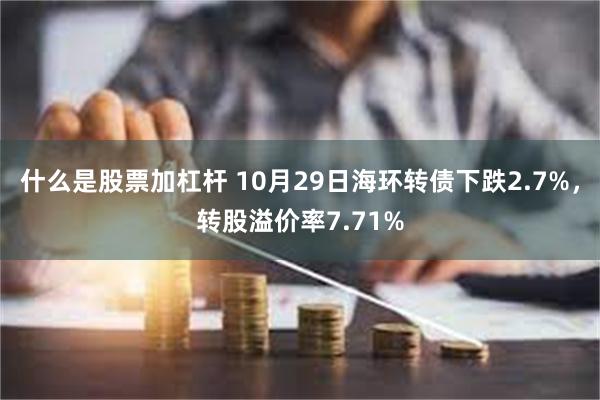 什么是股票加杠杆 10月29日海环转债下跌2.7%，转股溢价率7.71%