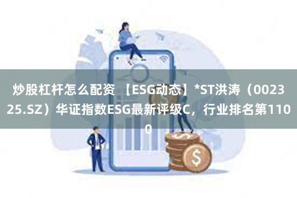 炒股杠杆怎么配资 【ESG动态】*ST洪涛（002325.SZ）华证指数ESG最新评级C，行业排名第110