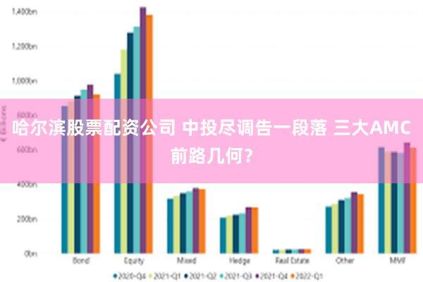 哈尔滨股票配资公司 中投尽调告一段落 三大AMC前路几何？