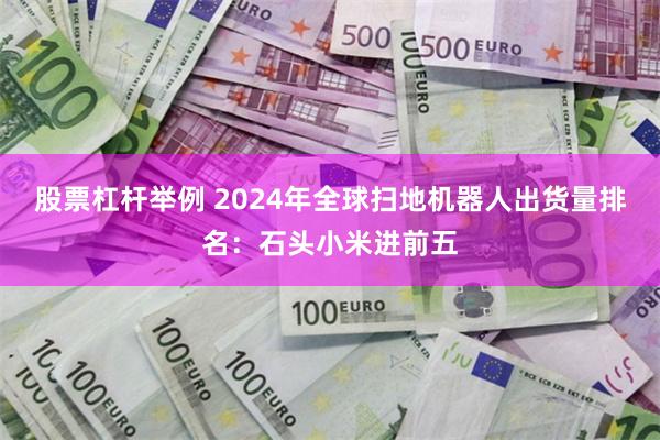 股票杠杆举例 2024年全球扫地机器人出货量排名：石头小米进前五